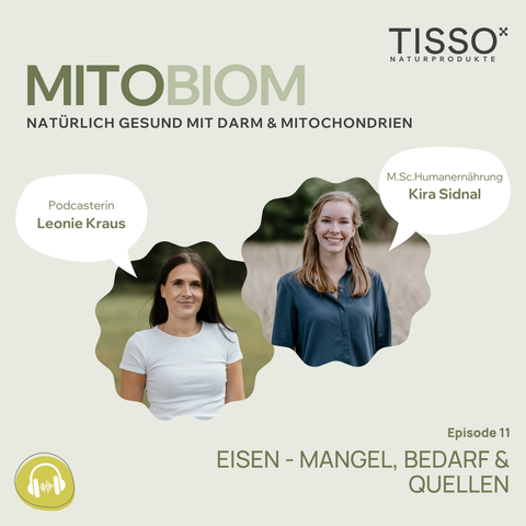 #11 Eisen – Mangel, Bedarf und Quellen