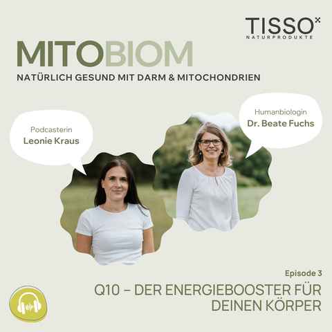#3 Q10 – The Energy Booster for Your Body