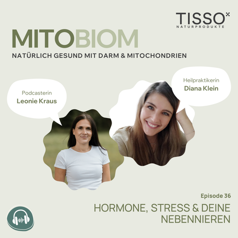 #36 Hormone, Stress & deine Nebennieren