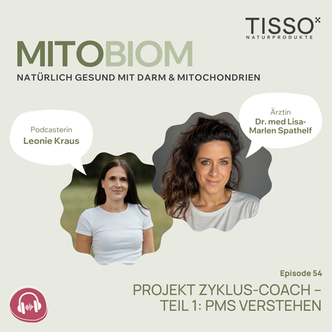 #54 Project Cycle Coach – Part 1: Understanding PMS