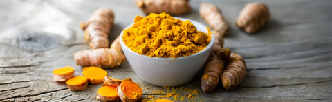 A white bowl containing bright yellow turmeric powder, with fresh turmeric roots next to it on weathered wood