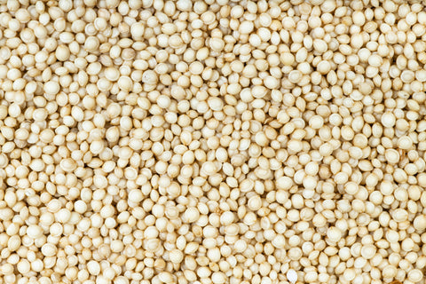 Close-up of raw amaranth grains