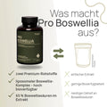 Was macht Pro Boswellia aus? Zwei Premium-Rohstoffe, liposomaler Boswellia-Komplex – hoch bioverfügbar, 65 % Boswelliasäuren im Extrakt – herkömmliches Produkt: einfacher Extrakt, geringe Bioverfügbarkeit, niedriger Gehalt an Boswelliasäuren