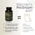 What makes Pro Enzyme special? 17 vegetarian enzymes, i.e., a broad spectrum, including 6 proteases—optimal protein digestion, with lactase, cellulase, phytase, and others—conventional product: limited enzyme selection, low number of different proteases, without lactase, cellulase, or phytase