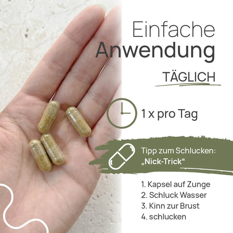 Einfache Anwendung von Pro Metabol Aktiv: 1 × pro Tag; offene Hand mit Kapseln. Tipp zum Schlucken, der „Nick-Trick“: 1. Kapsel auf die Zunge, 2. Schluck Wasser, 3. Kinn zur Brust, 4. schlucken