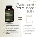 What sets Pro Mucosa apart? A premium combination for the mucous membranes, with glutamine, lecithin, and plant extracts, in enteric-coated capsules – conventional product: limited selection of nutrients, without glutamine, lecithin, or plant extracts, no enteric-coated capsules