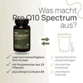 What sets Pro Q10 Spectrum apart? Two highly bioavailable forms of Q10, with polyphenols from 29 plants, plus shilajit and vitamin B3—conventional product: only one form of Q10 with low bioavailability, without valuable polyphenols, without shilajit, and without vitamin B3