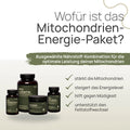 What is the Mitochondria Energy Package for? A carefully selected combination of nutrients for optimal mitochondrial performance: strengthens the mitochondria, boosts energy levels, helps combat fatigue, and supports fat metabolism