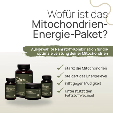 What is the Mitochondria Energy Package for? A carefully selected combination of nutrients for optimal mitochondrial performance: strengthens the mitochondria, boosts energy levels, helps combat fatigue, and supports fat metabolism