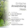 Easy to use, daily: Pro EM san: take it straight, with water, or with juice; Pro Präbioma: easily dissolves in tea or yogurt; Pro Mucosa: swallow as a capsule