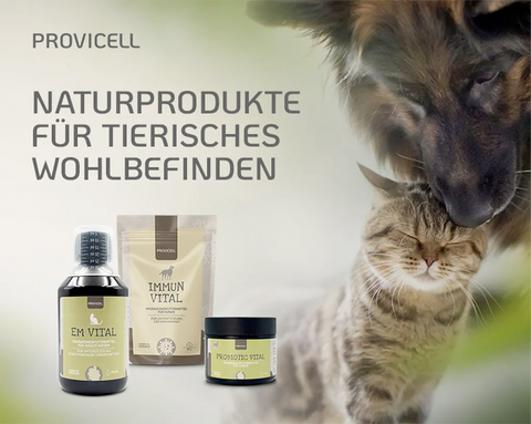 PROVICELL ad: A dog and a cat are snuggling together, with the products EM Vital, Immun Vital, and Probiotic Vital in the foreground, accompanied by the text “Natural products for animal well-being”