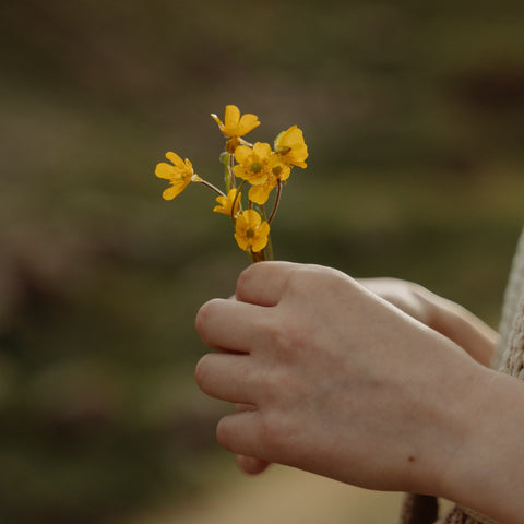 Nahaufnahme von zwei Händen, die behutsam einen kleinen Strauß gelber Wildblumen vor einem verschwommenen Naturhintergrund halten