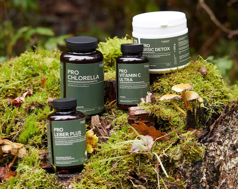 Das Detox-Paket von TISSO mit Pro Leber Plus, Pro Chlorella, Pro Vitamin C Ultra und Pro Basic Detox auf einem mit moosbedeckten Baumstamm in einem Wald