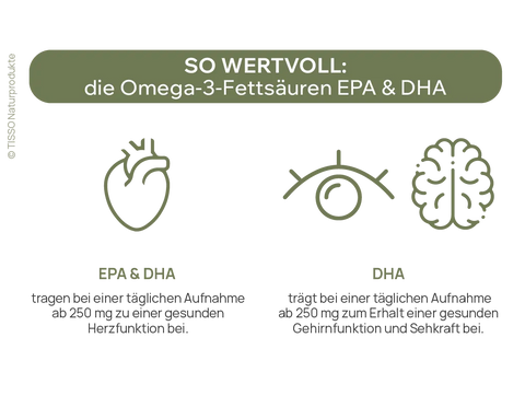 Schaubild der Funktionen von DHA und EPA