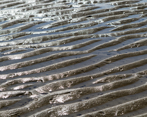 Wasser in Sandrillen