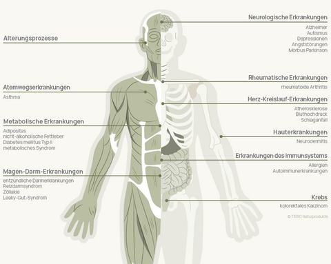 Körperschema mit Erkrankungen, die mit einer gestörten Darmflora zusammenhängen: Alterungsprozesse, Atemwegserkrankungen wie Asthma, metabolische Erkrankungen wie Adipositas, Fettleber und Diabetes Typ II, Magen-Darm-Erkrankungen, neurologische, rheumatische, Herz-Kreislauf- und Hauterkrankungen, Erkrankungen des Immunsystems sowie Krebs